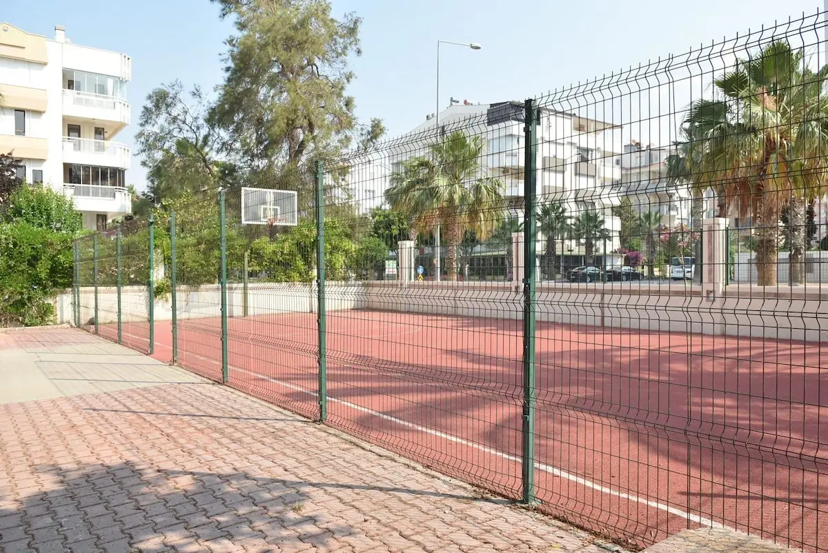 Basketball